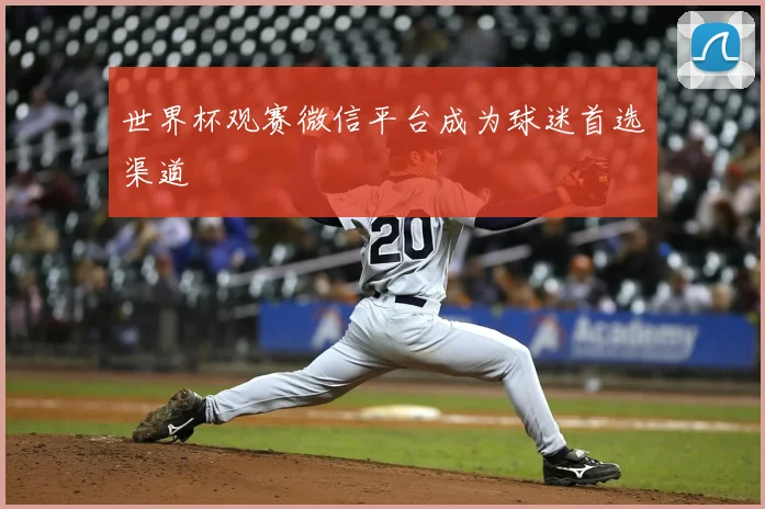 世界杯观赛微信平台成为球迷首选渠道