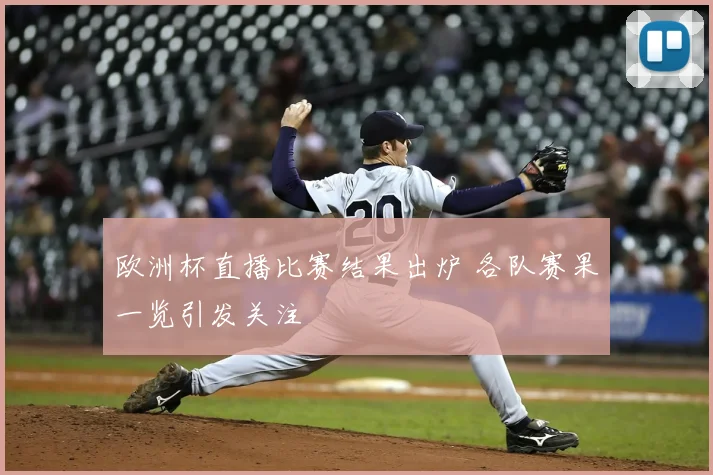 欧洲杯直播比赛结果出炉 各队赛果一览引发关注