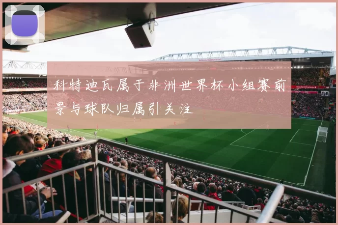 科特迪瓦属于非洲世界杯小组赛前景与球队归属引关注
