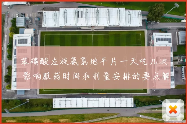 苯磺酸左旋氨氯地平片一天吃几次 影响服药时间和剂量安排的要点解析