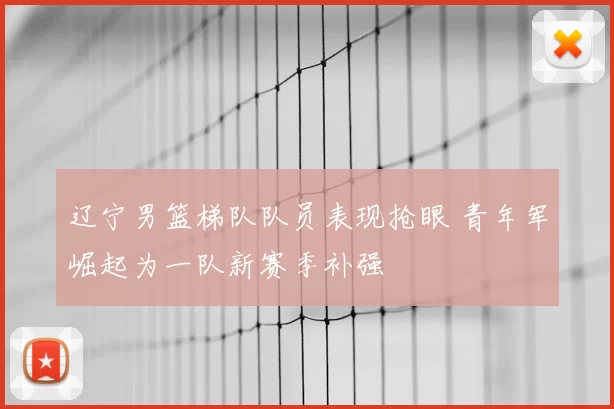辽宁男篮梯队队员表现抢眼 青年军崛起为一队新赛季补强
